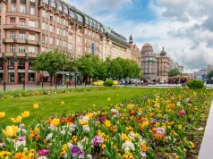 Çekya’da İngilizce Bilgisayar ve Yazılım Mühendisliği Lisans Programları