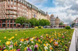 Çekya’da İngilizce Bilgisayar ve Yazılım Mühendisliği Lisans Programları