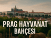 Prag Hayvanat Bahçesi (Prag)