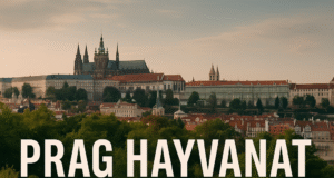 Prag Hayvanat Bahçesi (Prag)