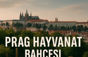 Prag Hayvanat Bahçesi (Prag)